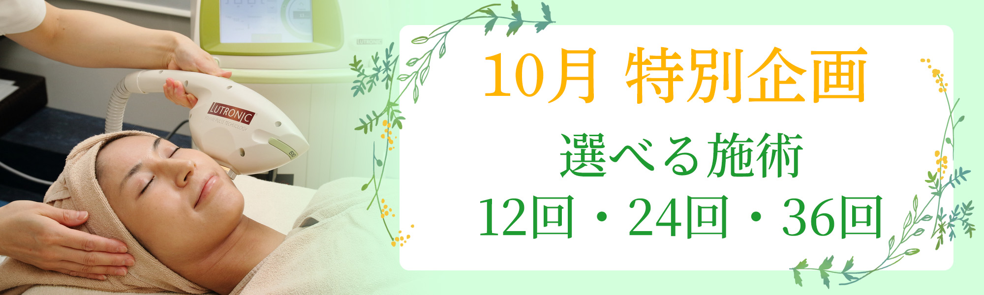 月替り企画