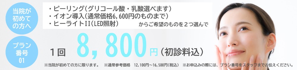 月替り企画