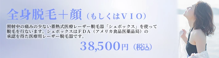女性全身脱毛（顔・ＶＩＯを除く）バナー