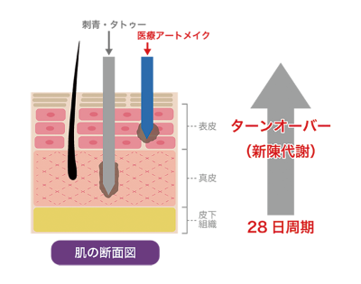 数年で薄くなるメイク